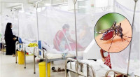 Dengue update: 6 die, 882 hospitalised in 24 hours