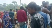 Five killed in Faridpur as train hits microbus