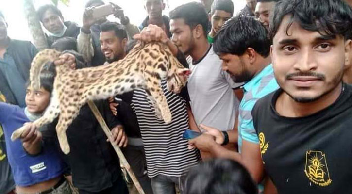 পিটিয়ে মারা চিতা বিড়াল নিয়ে গ্রামবাসীর সেলফি-উল্লাস