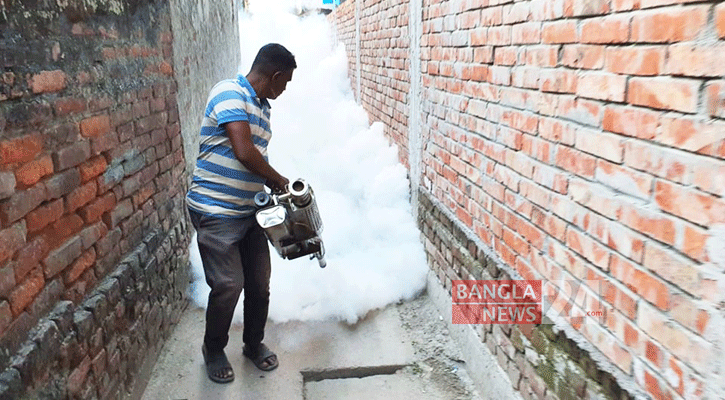 রাজশাহীতে বেড়েছে মশার উৎপাত, নিধন অভিযান শুরু