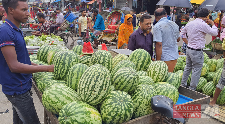 তরমুজের বাম্পার ফলন, তবুও ভালো নেই কৃষক