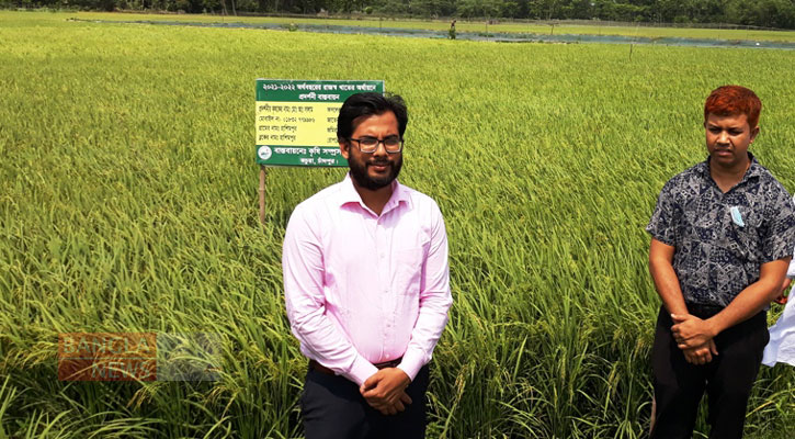 ‘বঙ্গবন্ধু ব্রি-১০০’ ধান চাষে ঝুঁকছেন কচুয়ার কৃষক