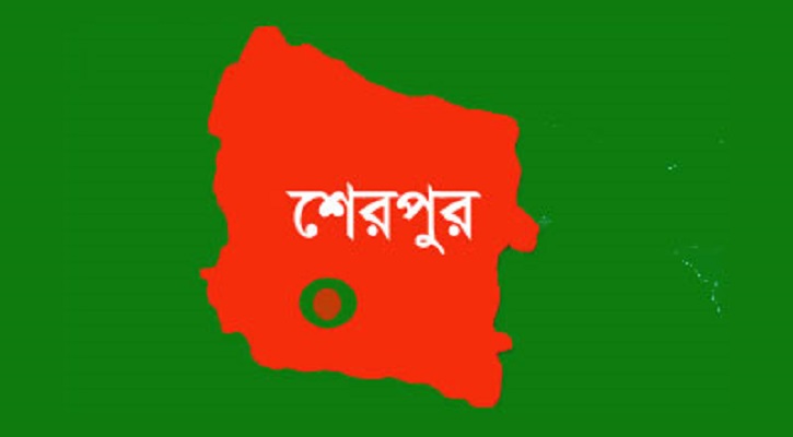 নালিতাবাড়ীতে ট্রাক-ইজিবাইক সংঘর্ষে নিহত ১