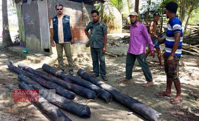 বাগেরহাটে পুকুর থেকে সুন্দরী কাঠ জব্দ 