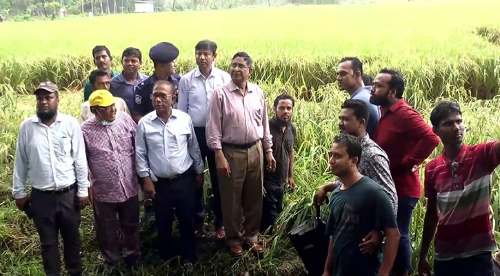 ফের শস্যভাণ্ডার হবে বরিশাল: কৃষিমন্ত্রী