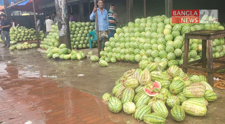 সিলেটে তরমুজ এখন ‘গলার কাঁটা’, ব্যবসায়ীরা ফেলছেন নদীতে!