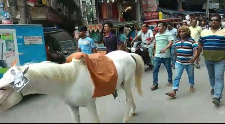 প্রচারণায় জীবন্ত ঘোড়া, মেয়র প্রার্থীকে জরিমানা 