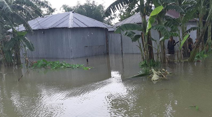 তিস্তার পানিতে ভাসছে গ্রামের পর গ্রাম