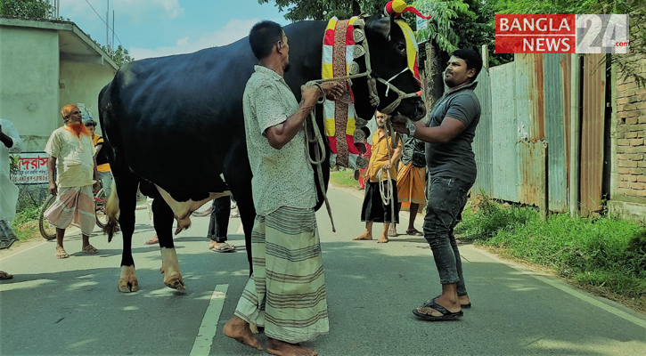 ৬ ফুট উচ্চতার ৩২ মণ ওজনের ‘রাজা বাবু’