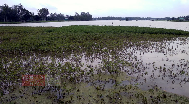 জামালপুরে আবারও বন্যার আশঙ্কা