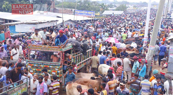 ঘনিয়ে আসছে ঈদ, সরগরম হয়ে উঠছে পশুর হাট