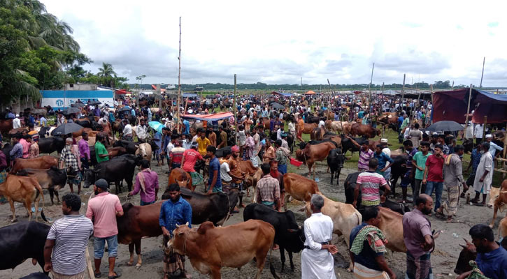 হাটে ক্রেতা থাকলেও বিক্রি কম 