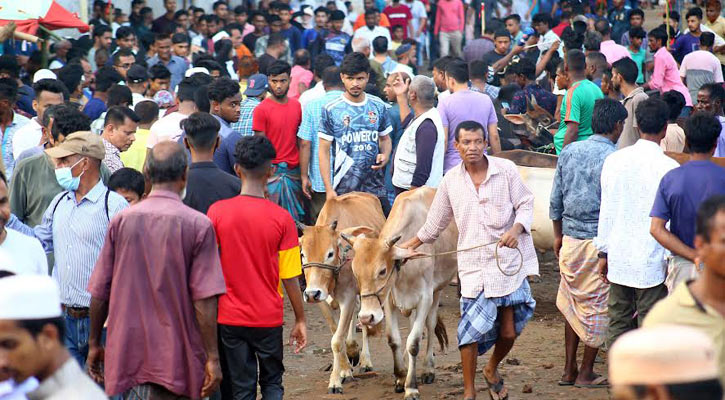 দেরিতে হলেও ক্রেতামুখর সিলেটের পশুরহাট