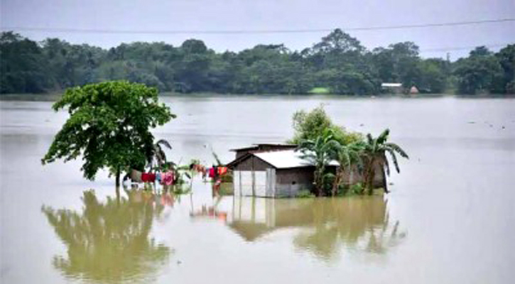 বন্যাজনিত রোগে আক্রান্ত ১৬৯৮১, মৃত্যু ১১৬