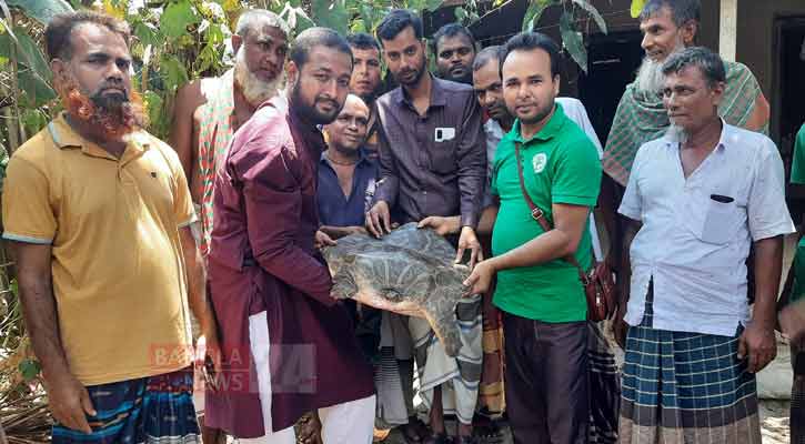 সিংড়ায় উদ্ধার গঙ্গা কাছিম বন বিভাগে হস্তান্তর