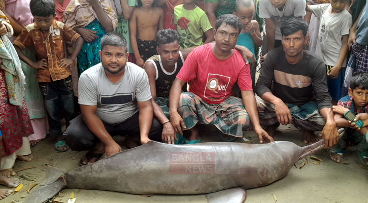 বোয়াল ধরার বড়শিতে উঠে এলো ১০০ কেজির শুশুক!