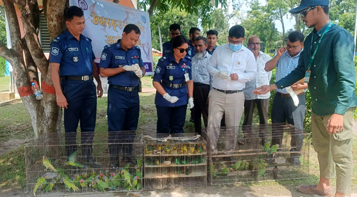 ফেনীতে ১৫৭ বন্য পাখি উদ্ধার, একজন আটক