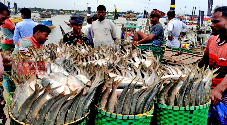 সবার পাতে জোটে না রুপালি ইলিশ