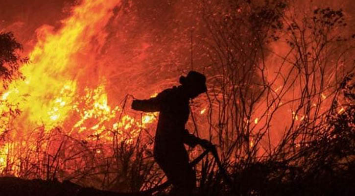 আলজেরিয়ায় ভয়াবহ দাবানলে নিহত ৩৮ 