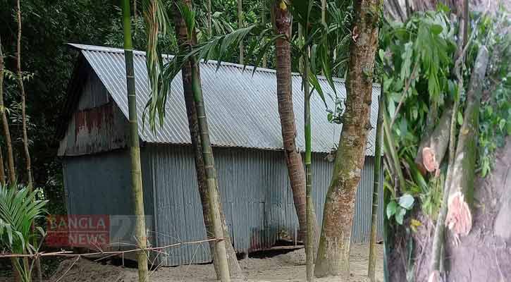 আদালতের নিষেধাজ্ঞা উপেক্ষা করে ঘর নির্মাণের অভিযোগ  