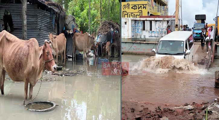 ভোলার মেঘনায় পানি বেড়ে ১২ গ্রাম প্লাবিত