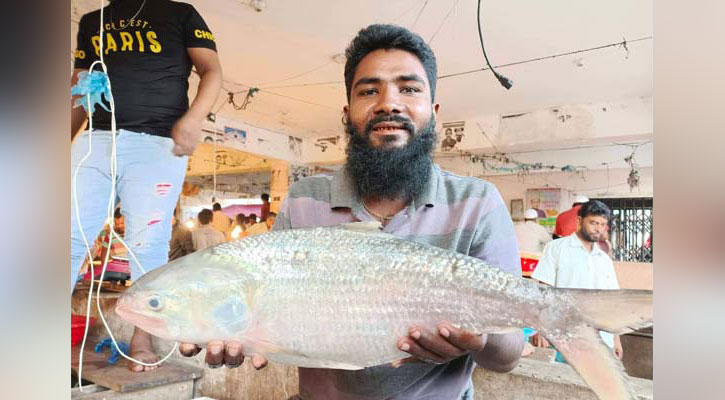 পৌনে তিন কেজির ‘রাজা’ ইলিশ ৭ হাজার টাকায় বিক্রি