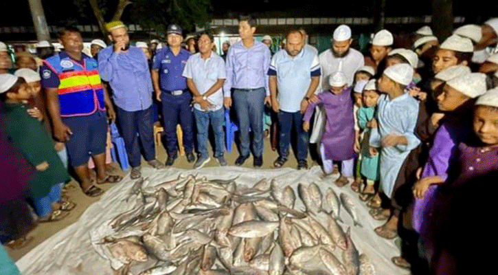 শিবচরের পদ্মায় প্রশাসনের যৌথ অভিযান, জাল-ইলিশ জব্দ, আটক ১