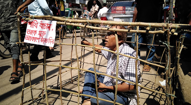 খাঁচায় বন্দি থেকে ‘পাখির মুক্ত বিচরণ’ নিশ্চিতের দাবি