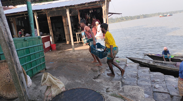 ভোলায় ৩ দিনে ১৩ কোটি টাকার ইলিশ বিক্রি