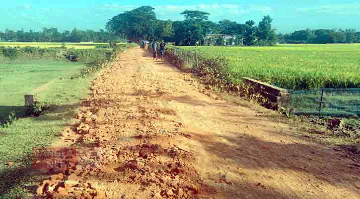 দুই যুগেও সংস্কার হয়নি নবীগঞ্জের সড়কটি