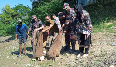 সীমান্ত থেকে ৫২ কচ্ছপ উদ্ধার, তিতাস নদীতে অবমুক্ত 