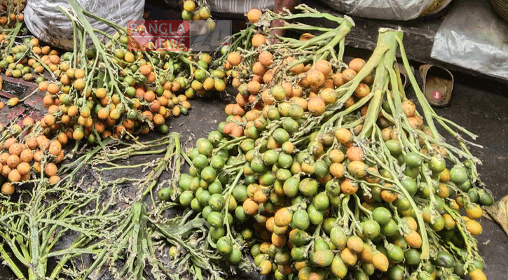 বরগুনায় কোটি টাকার সুপারি বিক্রির প্রত্যাশা