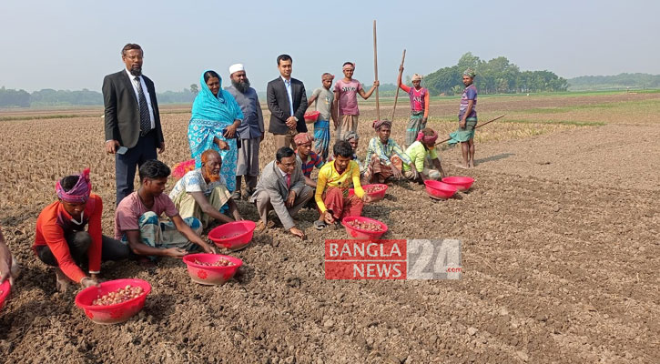 ফরিদপুরে চলছে দানা পেঁয়াজ চাষ