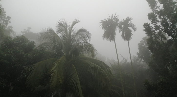 সূর্যের দেখা নেই, হিমেল হাওয়ায় কাঁপছে জনপদ