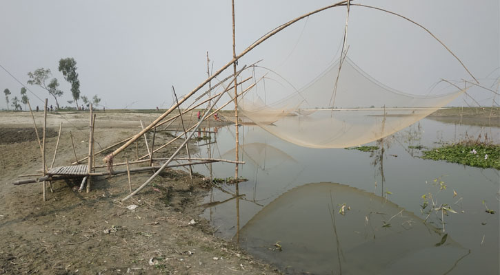 খরস্রোতা তিস্তা এখন মরা গাঙ, বিপাকে জেলেরা