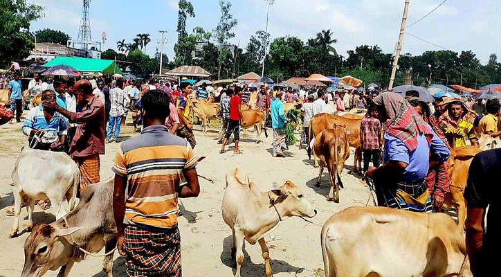 পশুরহাটে অতিরিক্ত খাজনা আদায়, ৬০ হাজার টাকা জরিমানা