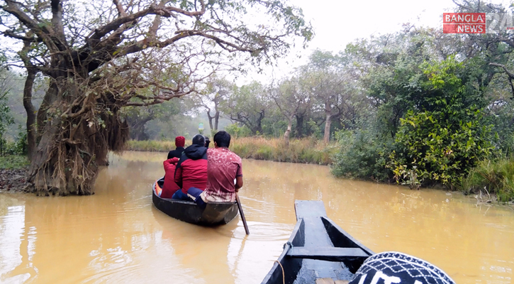 রাতারগুল: সবুজ অরণ্যের রাজ্যে এক সকাল