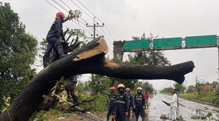 ফেনীতে কালবৈশাখী ঝড়: দুদিন পরেও বিদ্যুৎ বিচ্ছিন্ন ২ লাখ গ্রাহক