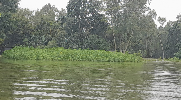 সিরাজগঞ্জে সাড়ে ৪ হাজার হেক্টর ফসলি জমি প্লাবিত