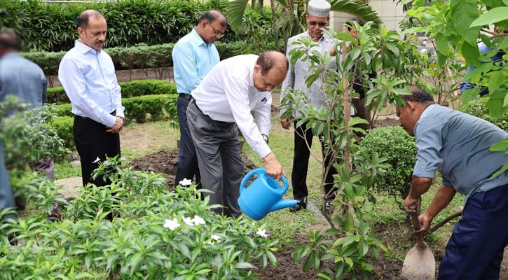 ইসিতে ফলদ গাছ রোপণ করলেন সিইসি-কমিশনাররা