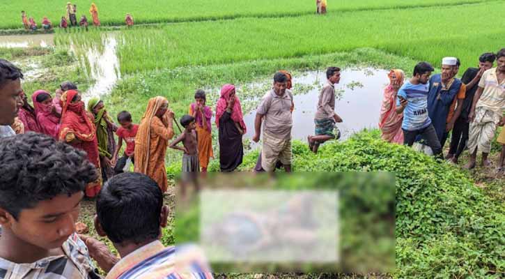 নিখোঁজের ২ দিন পর ইটভাটায় মিলল ভ্যানচালকের মরদেহ