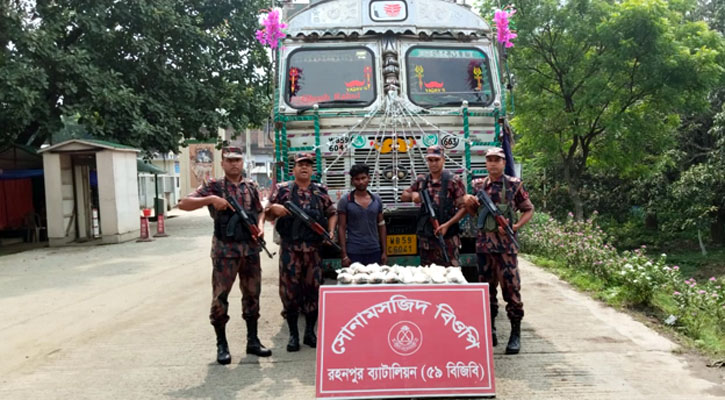 ইলিশ পাচারের চেষ্টা, সোনামসজিদে মাছ-ট্রাকসহ ভারতীয় আটক 