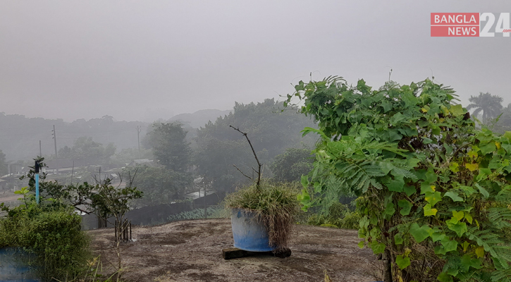 হঠাৎ কুয়াশার চাদরে ঢেকেছে ফরিদপুরের জনপদ