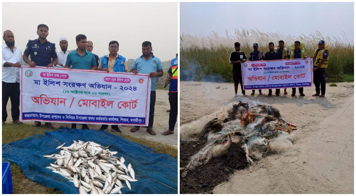 শিবচরের পদ্মায় ২৩ কেজি ইলিশসহ ৬০ হাজার মিটার জাল জব্দ