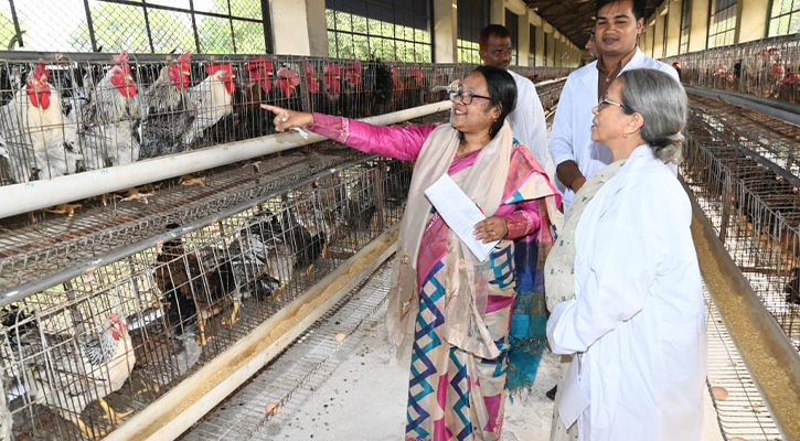 ‘দেশীয় জাত সংরক্ষণে বিএলআরআই-কে ভূমিকা রাখতে হবে’