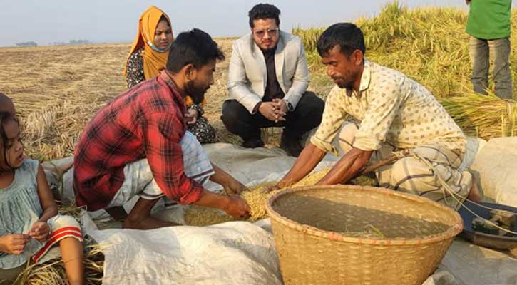 হবিগঞ্জে গোলায় উঠছে ৮৫ শতাংশ ধান